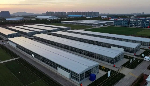财税管理在商务代理场景中的实践与趋势